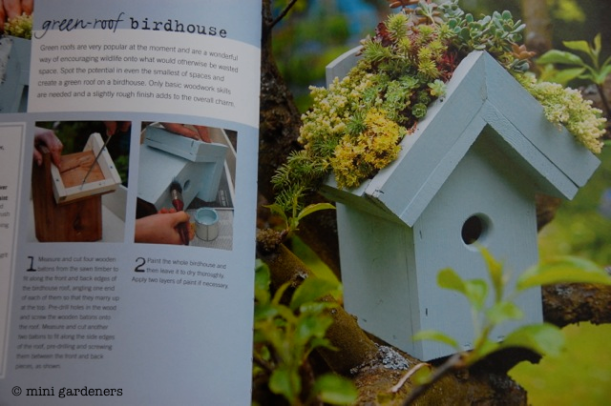 green roof birdhouse from Teeny Tiny Gardening